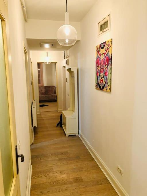 Joy City Stay Nemoianu 7 Тимишоара Екстериор снимка